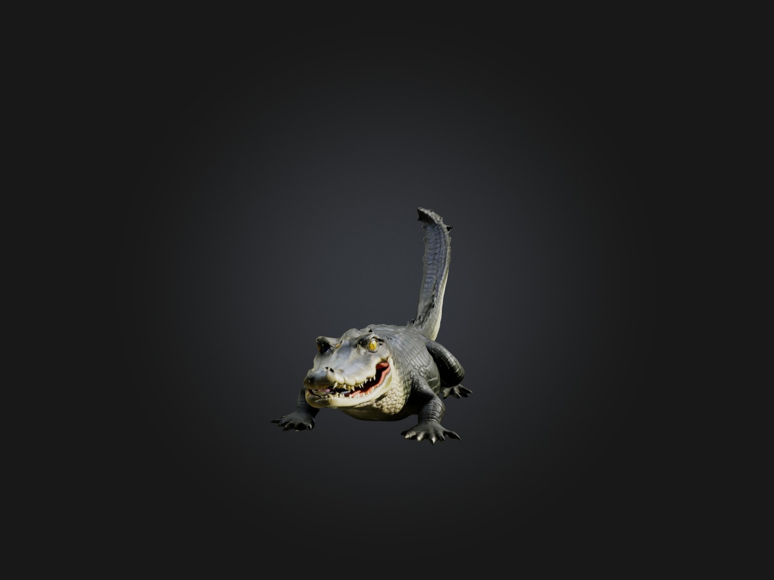 Realistic Alligator Model Low-poly 3D model_7
