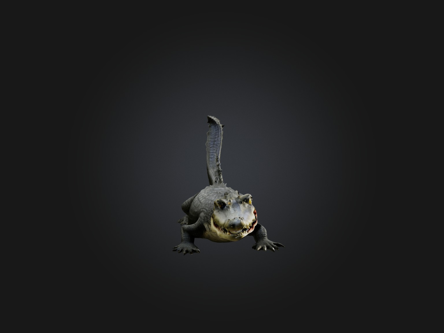 Realistic Alligator Model Low-poly 3D model_6