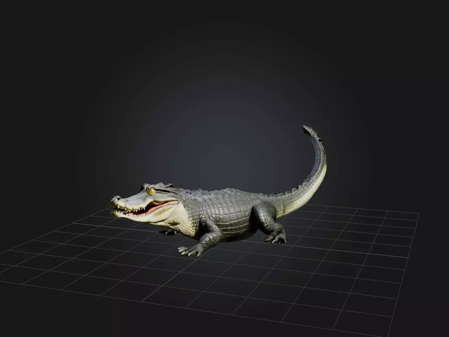 Realistic Alligator Model Low-poly 3D model_0