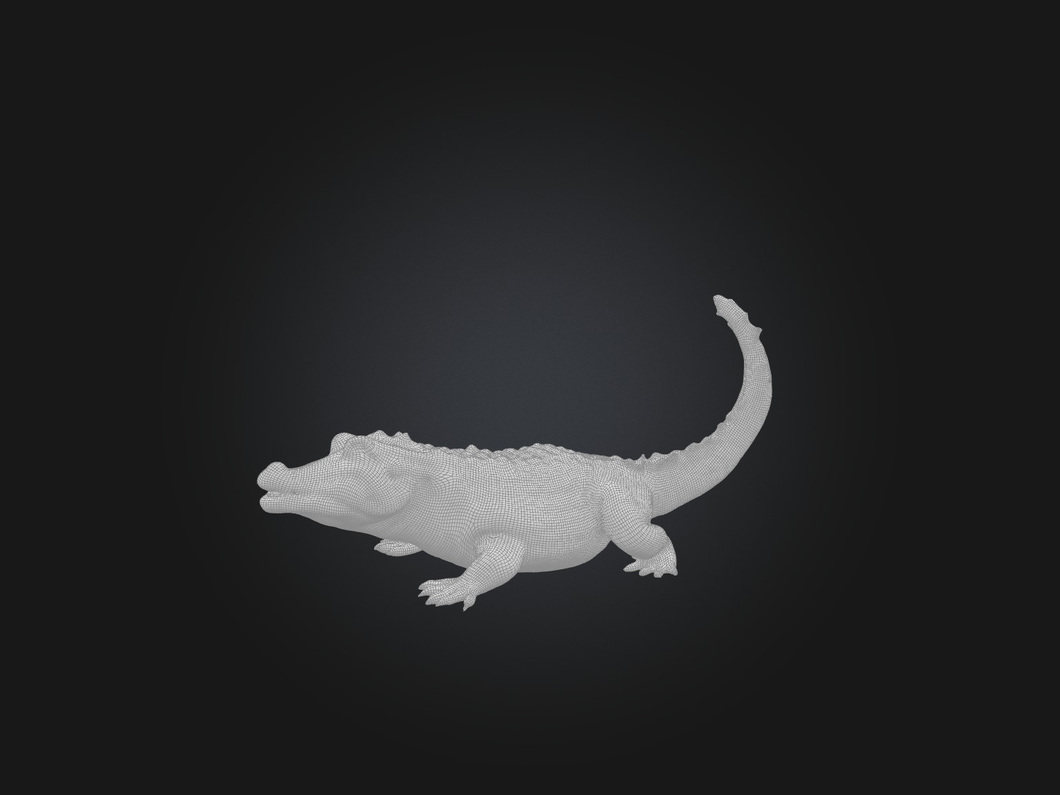 Realistic Alligator Model Low-poly 3D model_2