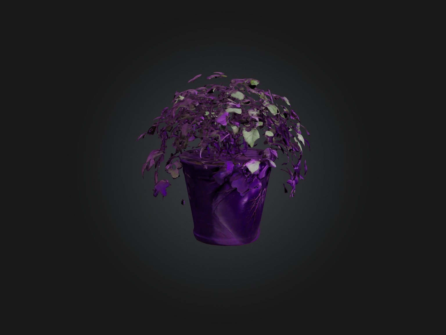 Purple Heart Plant Model Low-poly 3D model_6