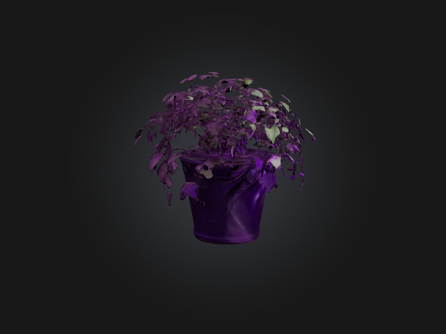 Purple Heart Plant Model Low-poly 3D model_7