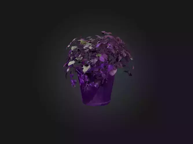 Purple Heart Plant Model