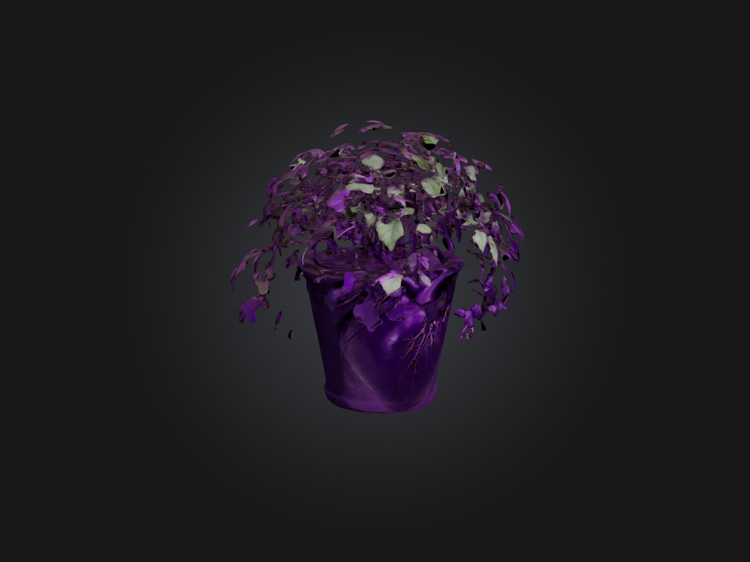 Purple Heart Plant Model Low-poly 3D model_5