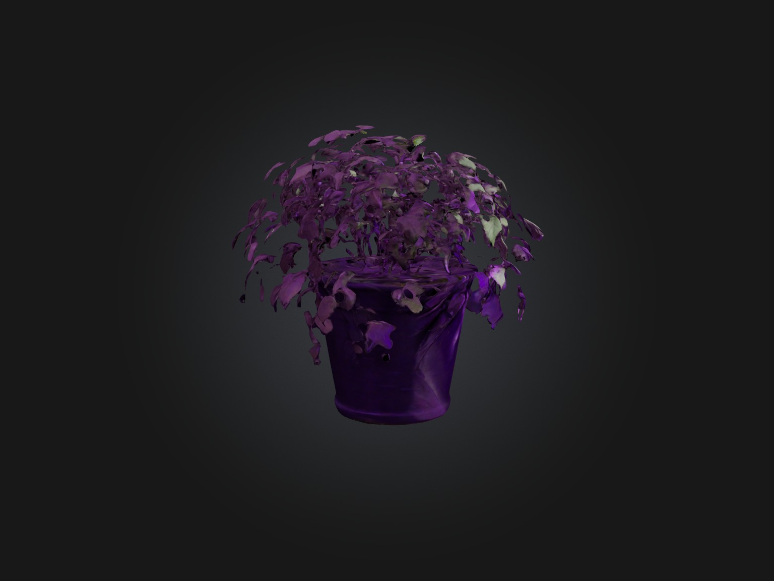 Purple Heart Plant Model Low-poly 3D model_8