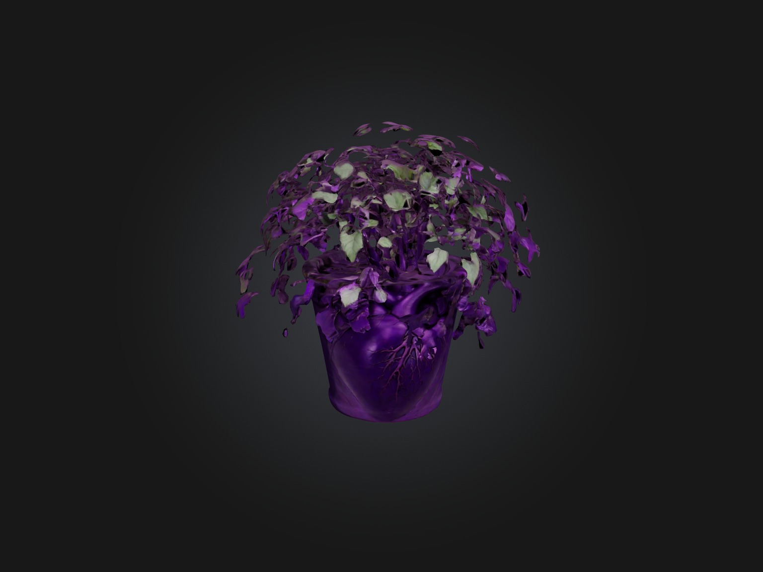 Purple Heart Plant Model Low-poly 3D model_4