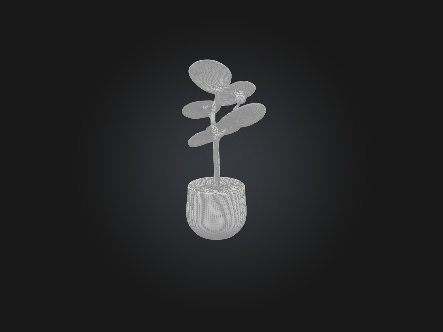 Pilea Peperomioides Model Low-poly 3D model_2
