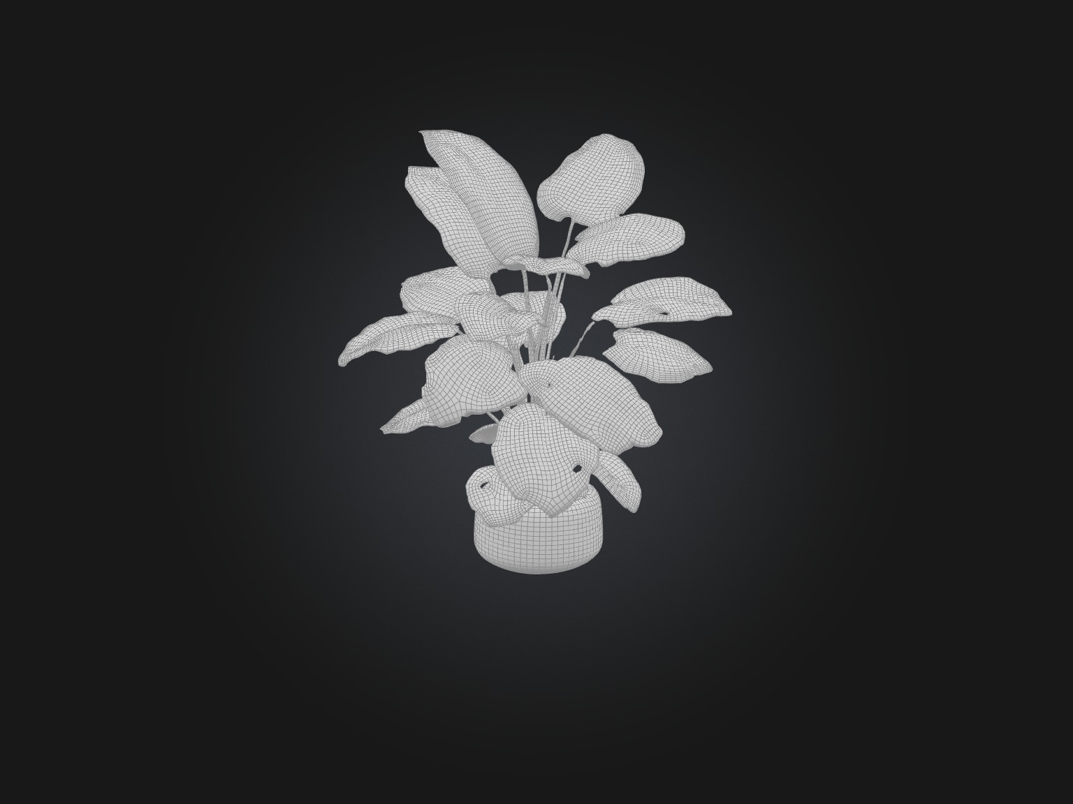Philodendron Model Low-poly 3D model_2