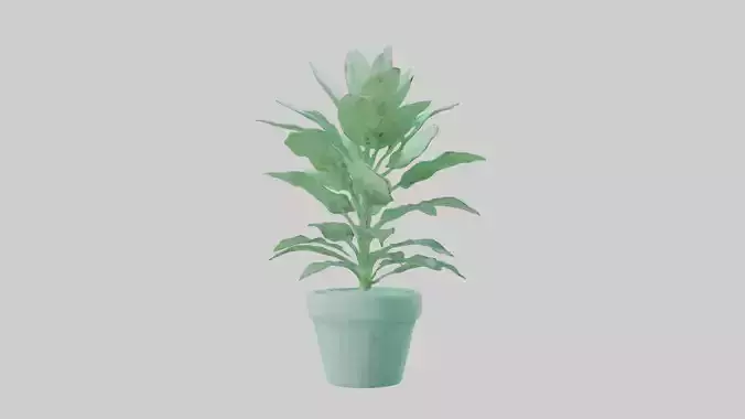 Peppermint Model