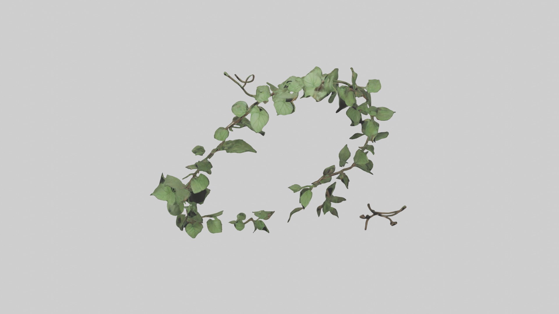 Peace Vine Model Low-poly 3D model_16
