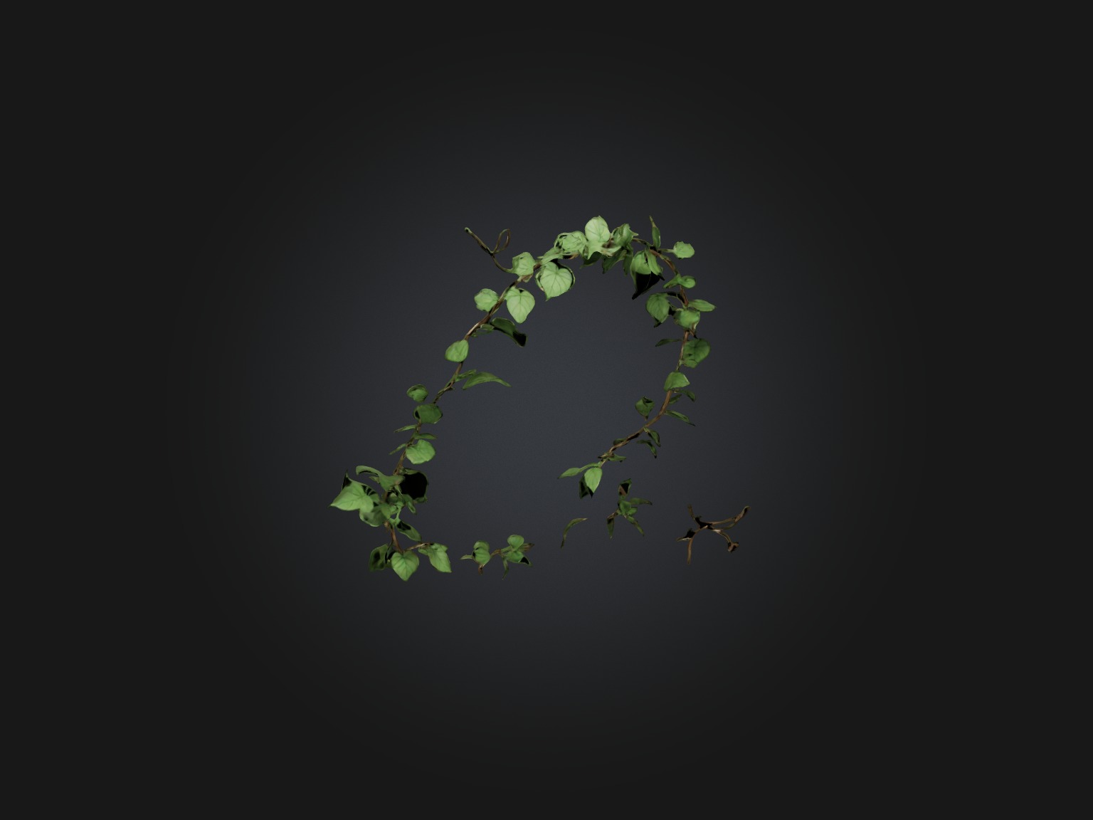 Peace Vine Model Low-poly 3D model_10