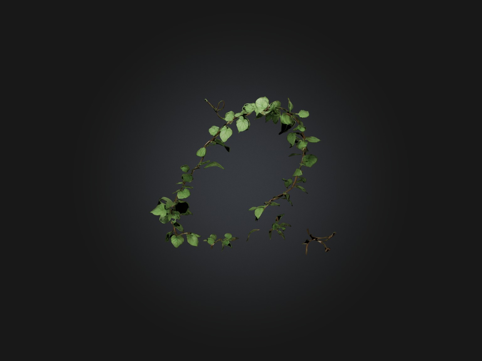 Peace Vine Model Low-poly 3D model_9