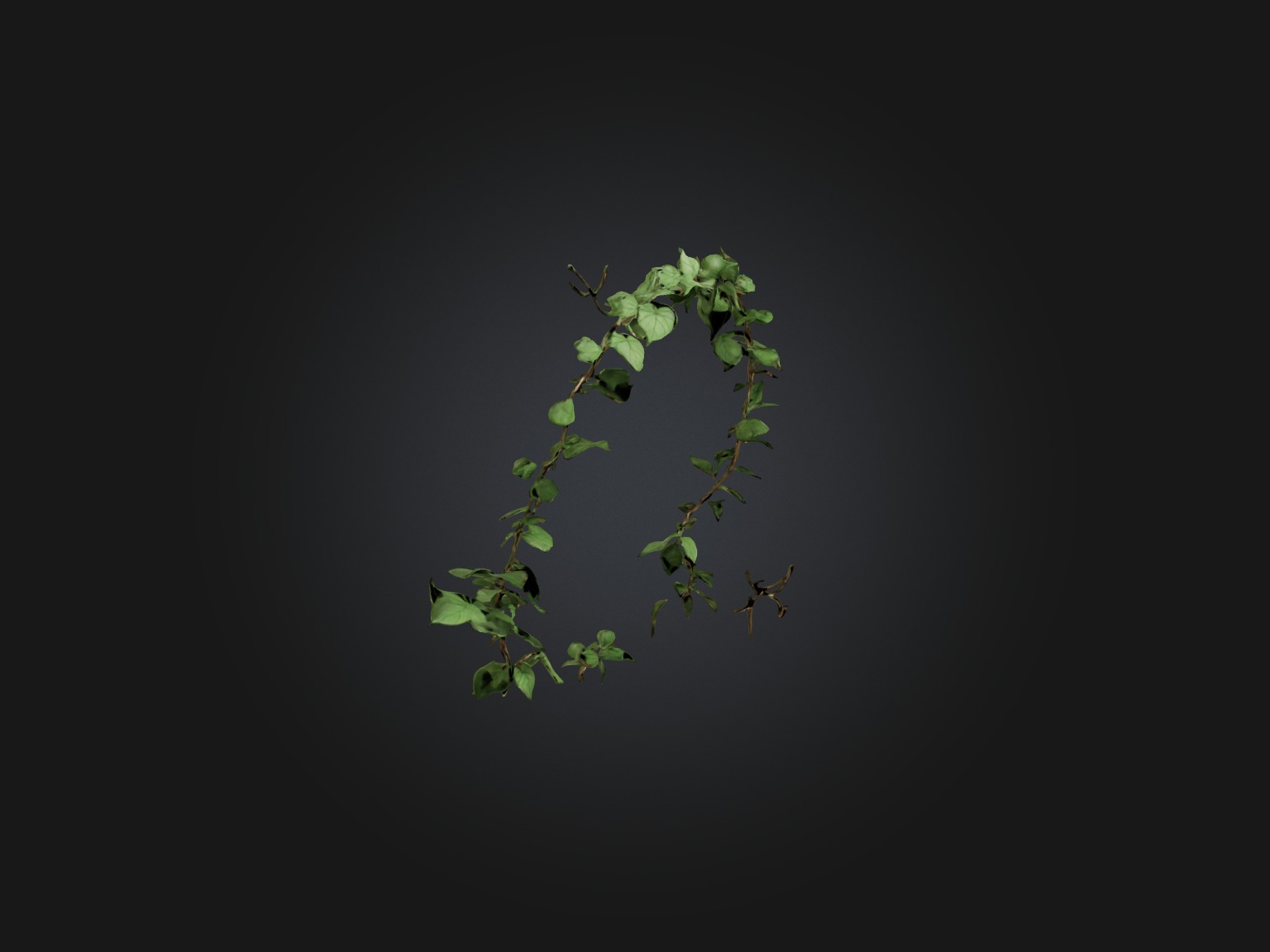 Peace Vine Model Low-poly 3D model_12