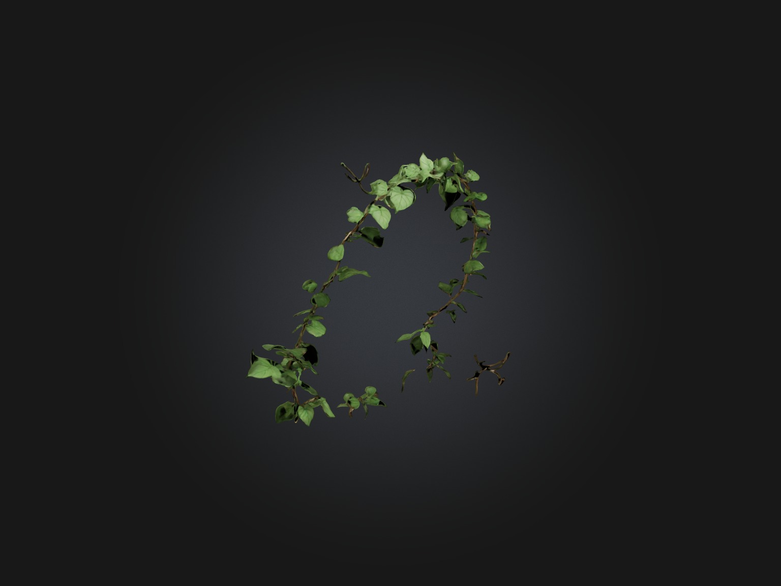 Peace Vine Model Low-poly 3D model_11