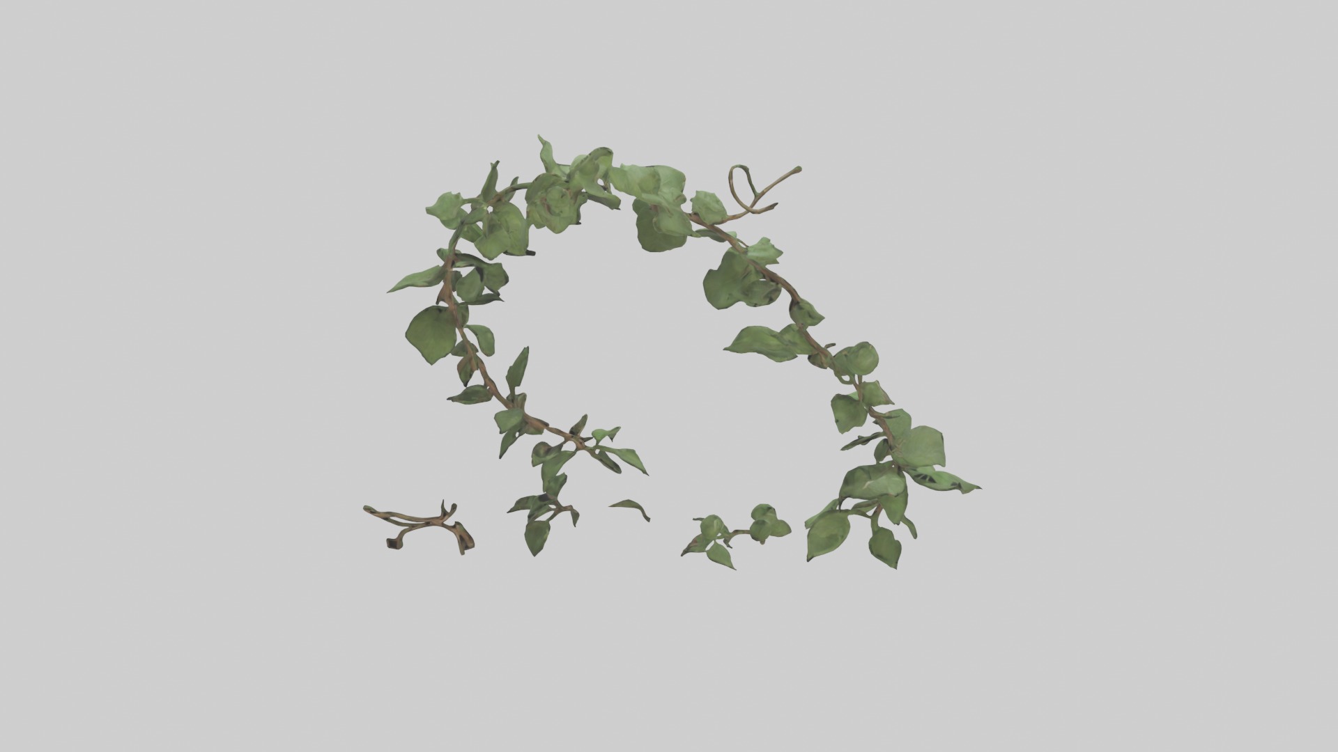 Peace Vine Model Low-poly 3D model_15