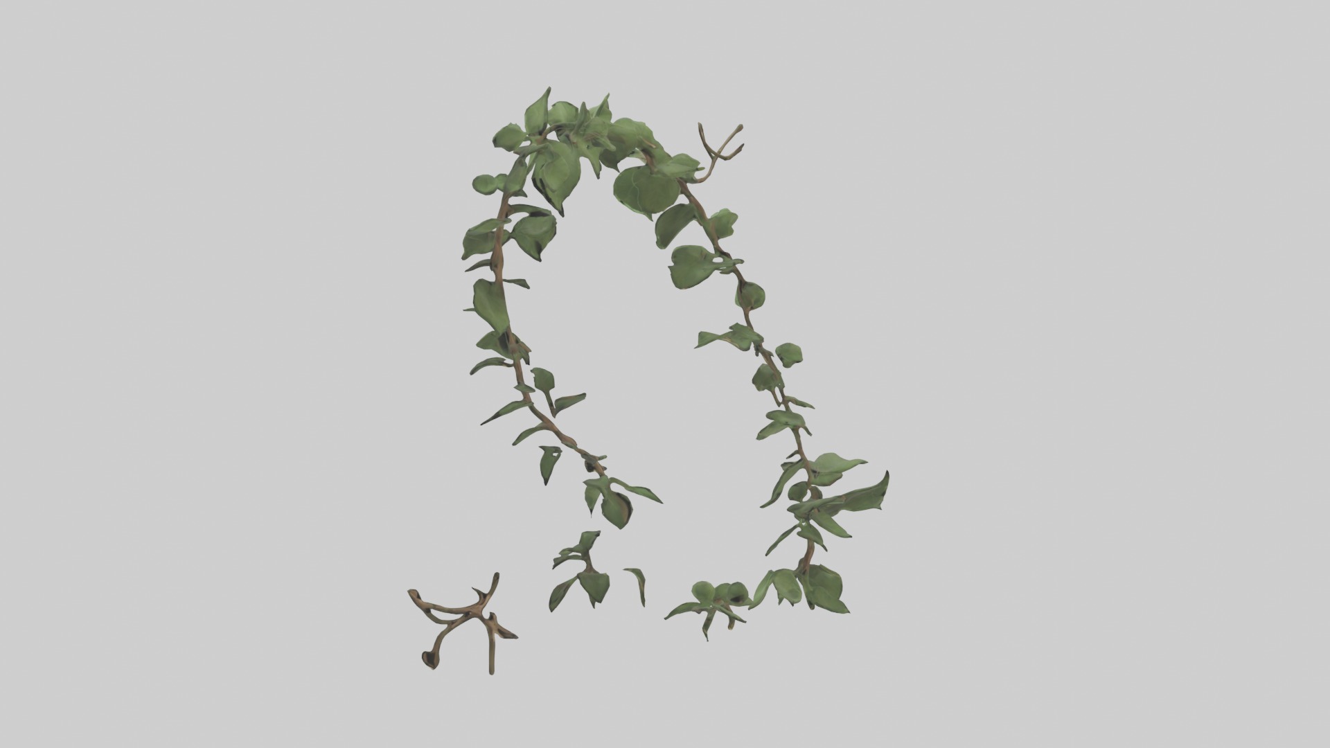 Peace Vine Model Low-poly 3D model_6