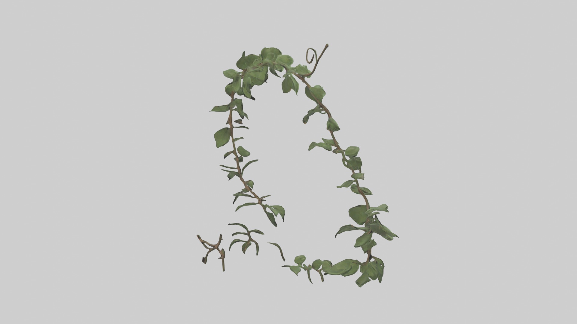 Peace Vine Model Low-poly 3D model_17