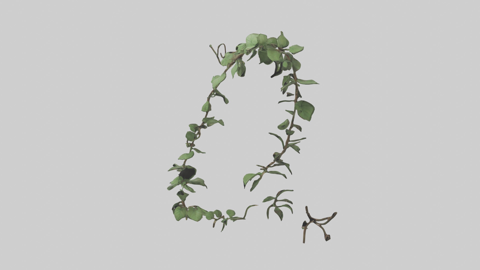 Peace Vine Model Low-poly 3D model_1