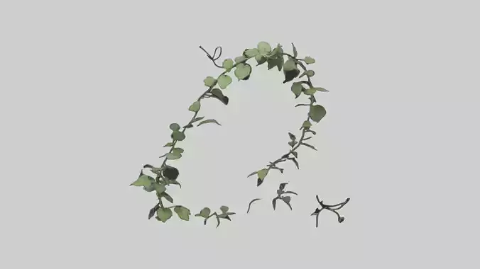 Peace Vine Model