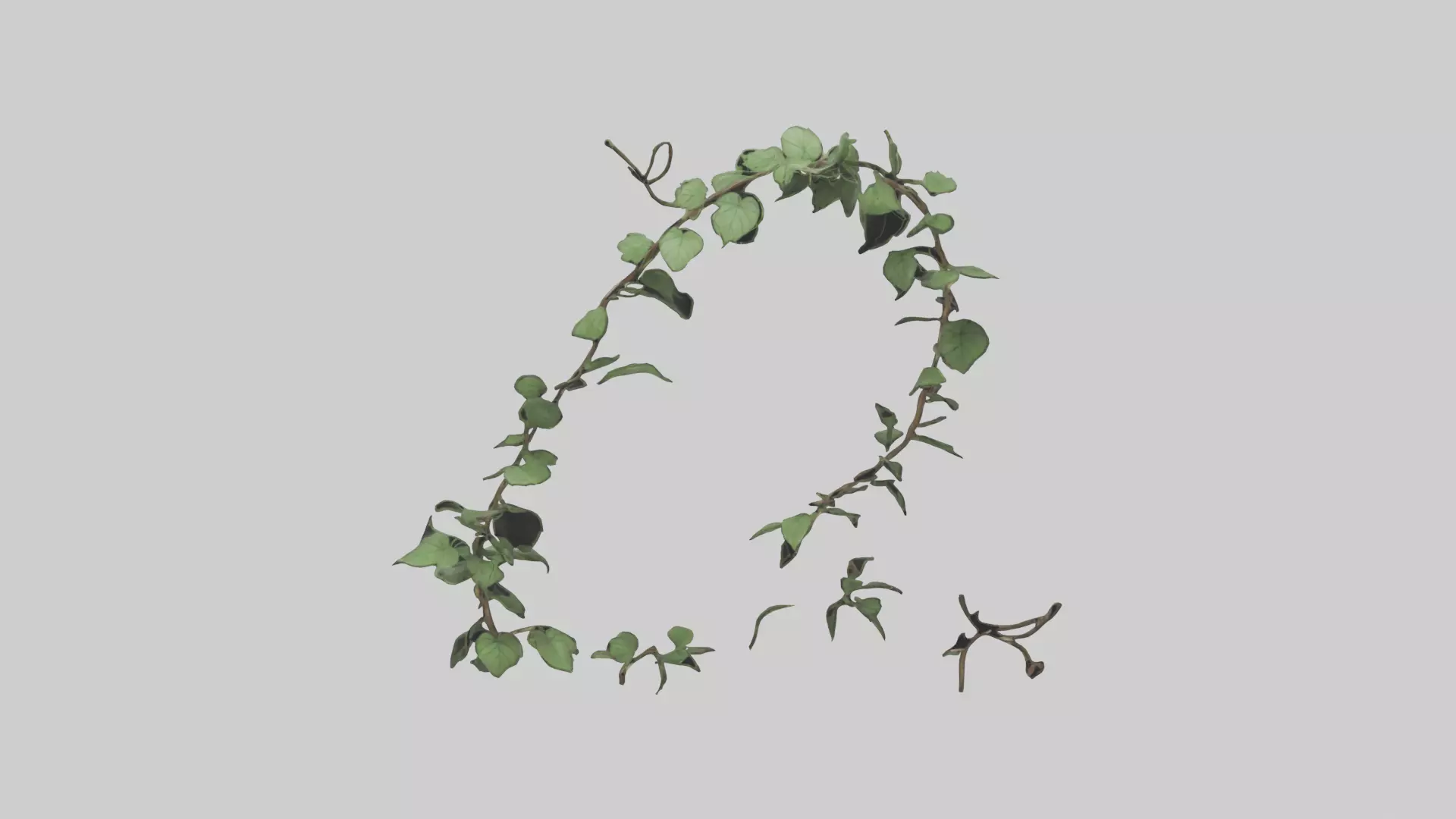 Peace Vine Model Low-poly 3D model_0