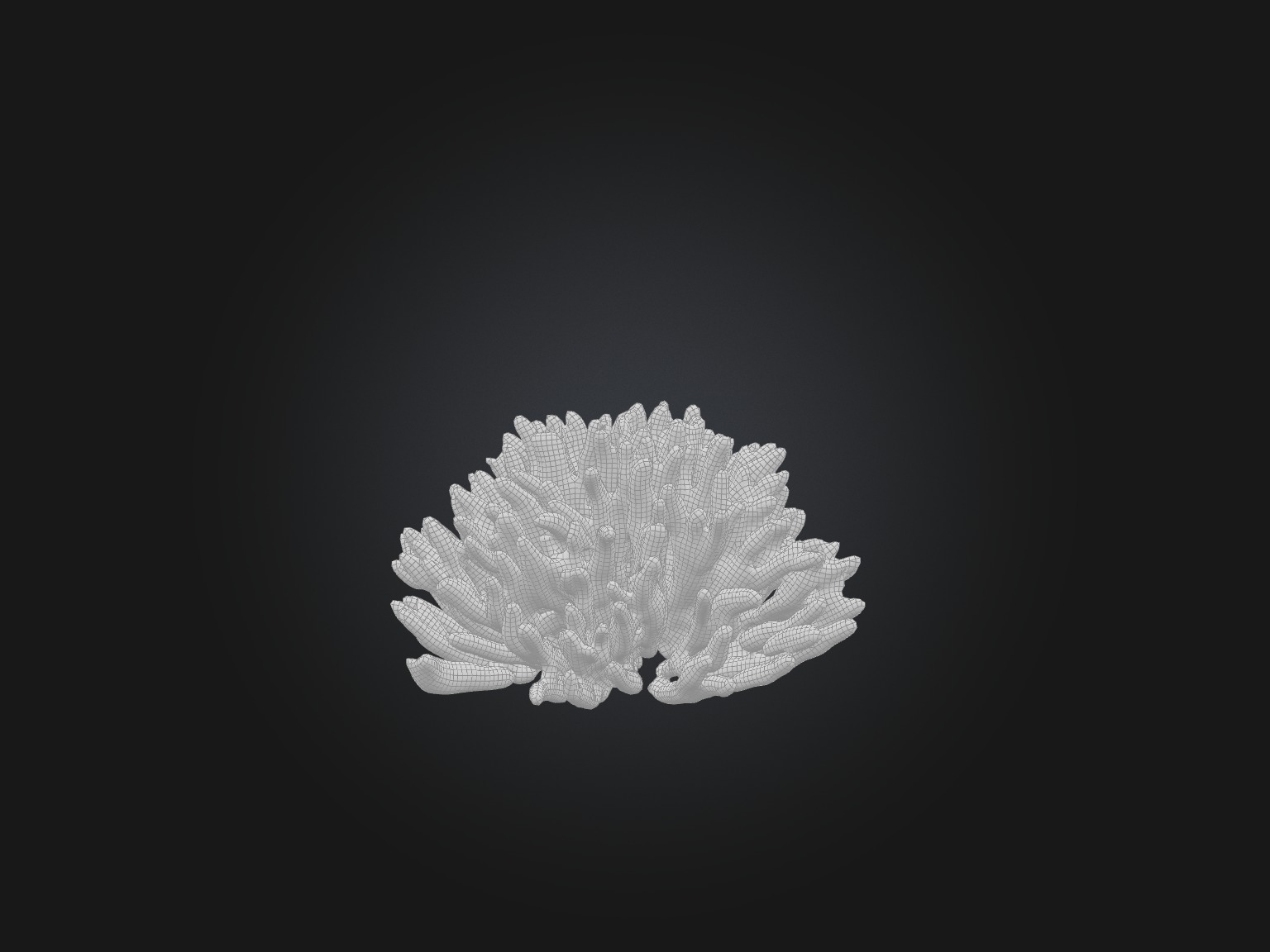 Parsley Model Low-poly 3D model_8