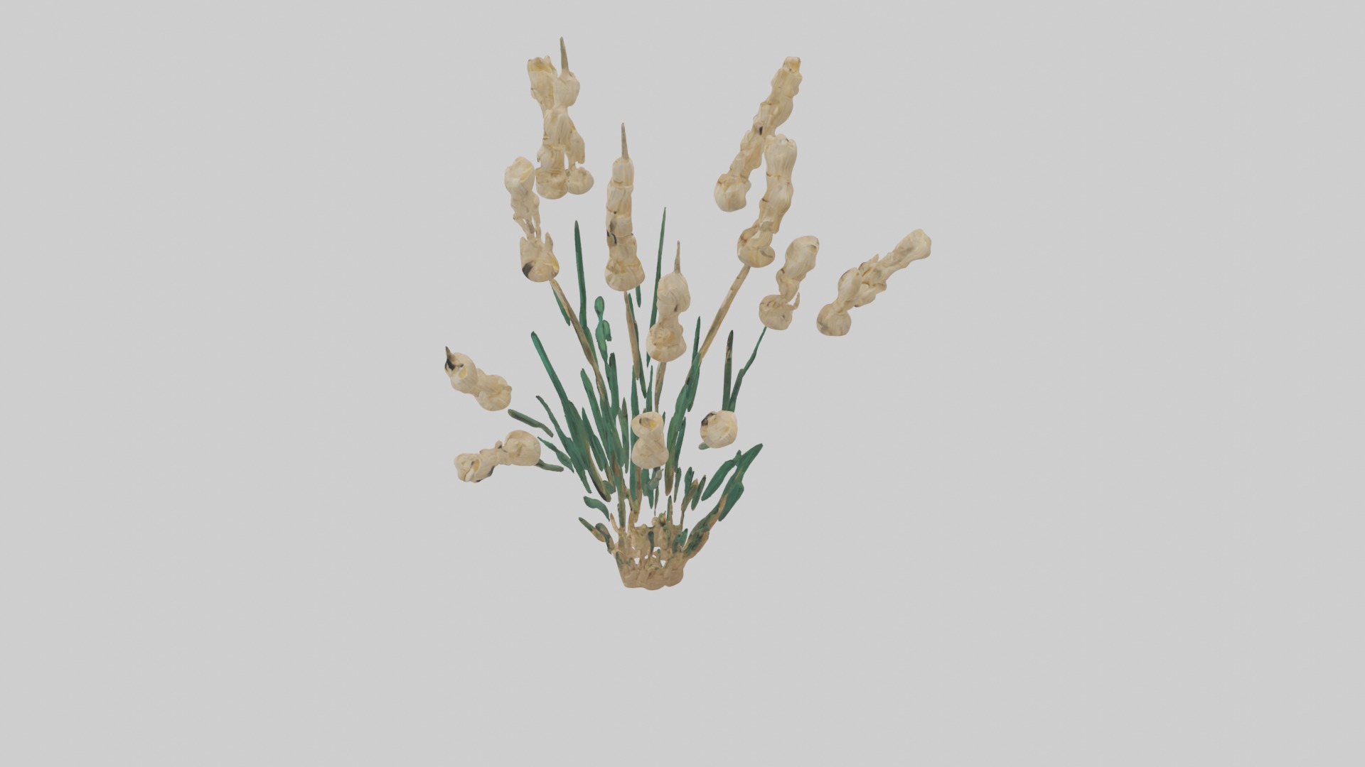 Papyrus Plant Model Low-poly 3D model_14