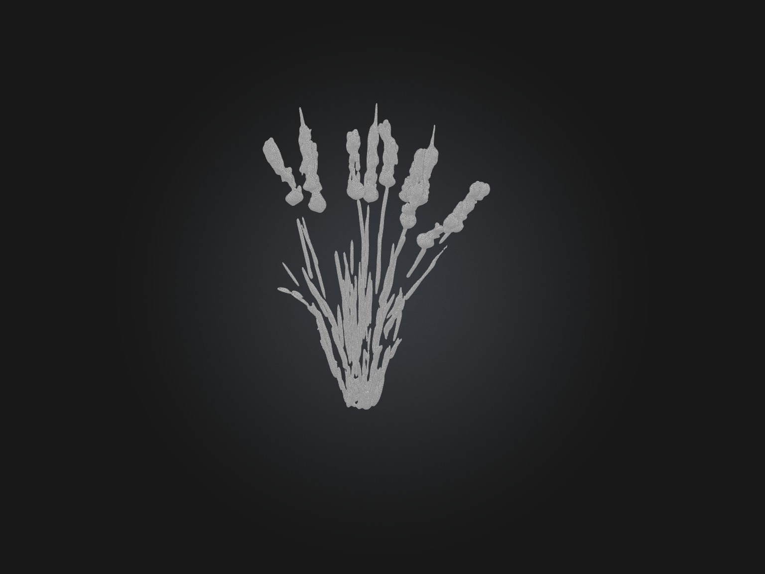 Papyrus Plant Model Low-poly 3D model_8