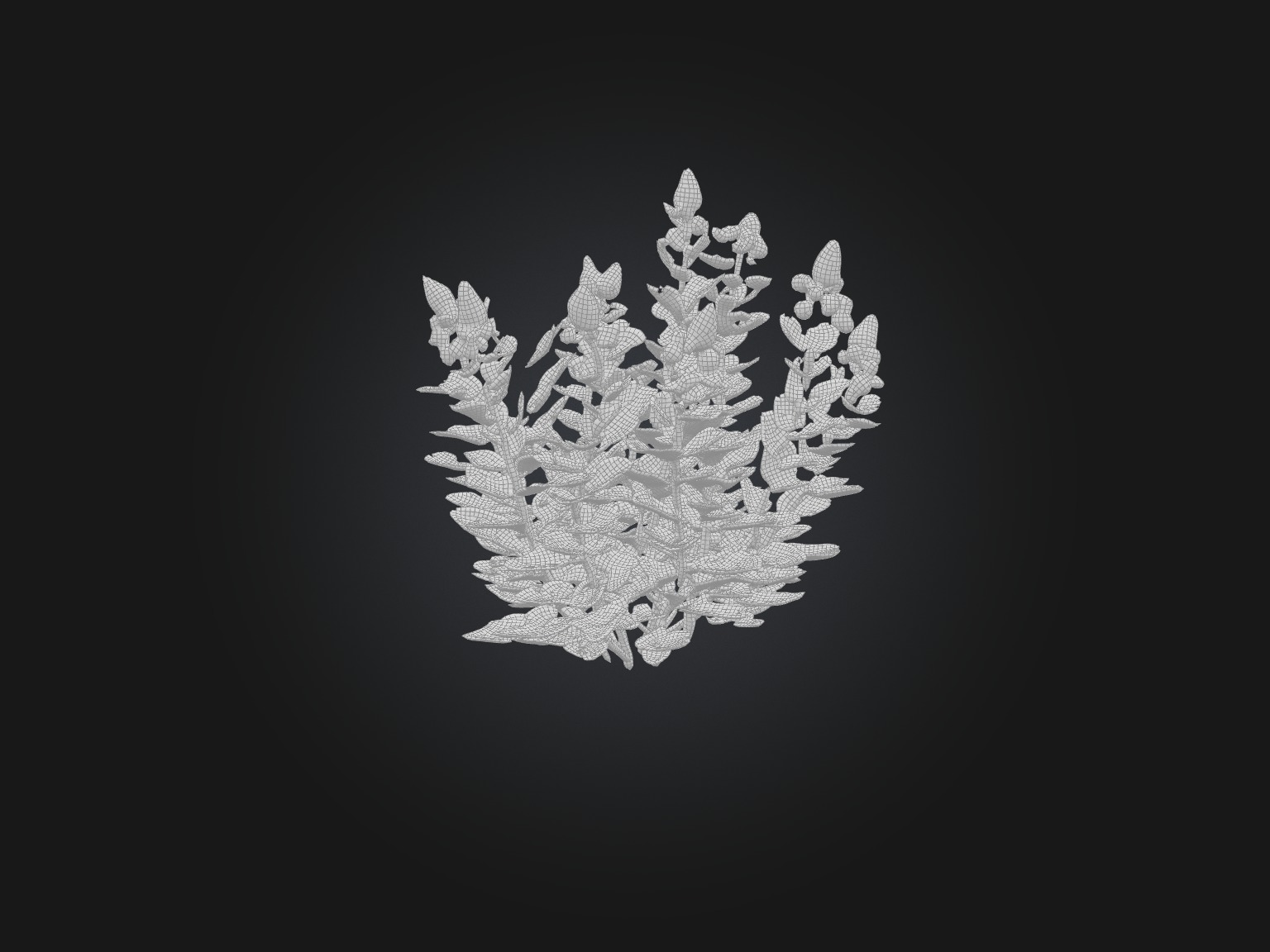 Oregano Model Low-poly 3D model_8