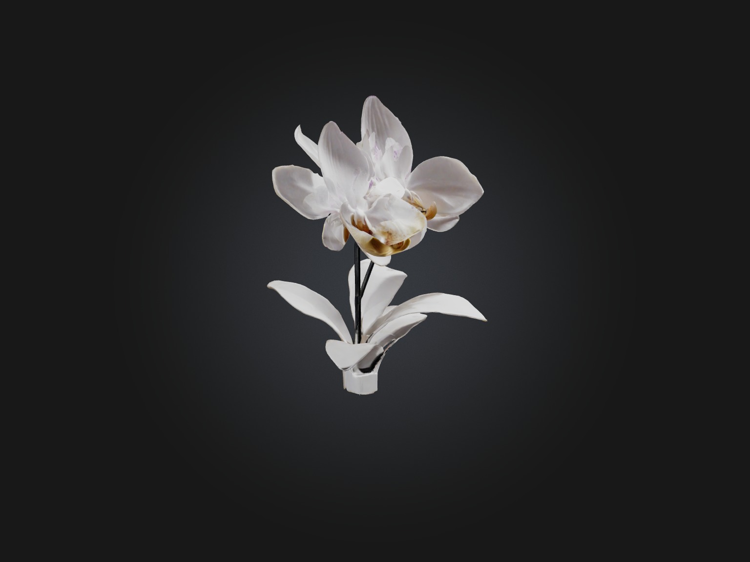 Orchid Model Low-poly 3D model_11