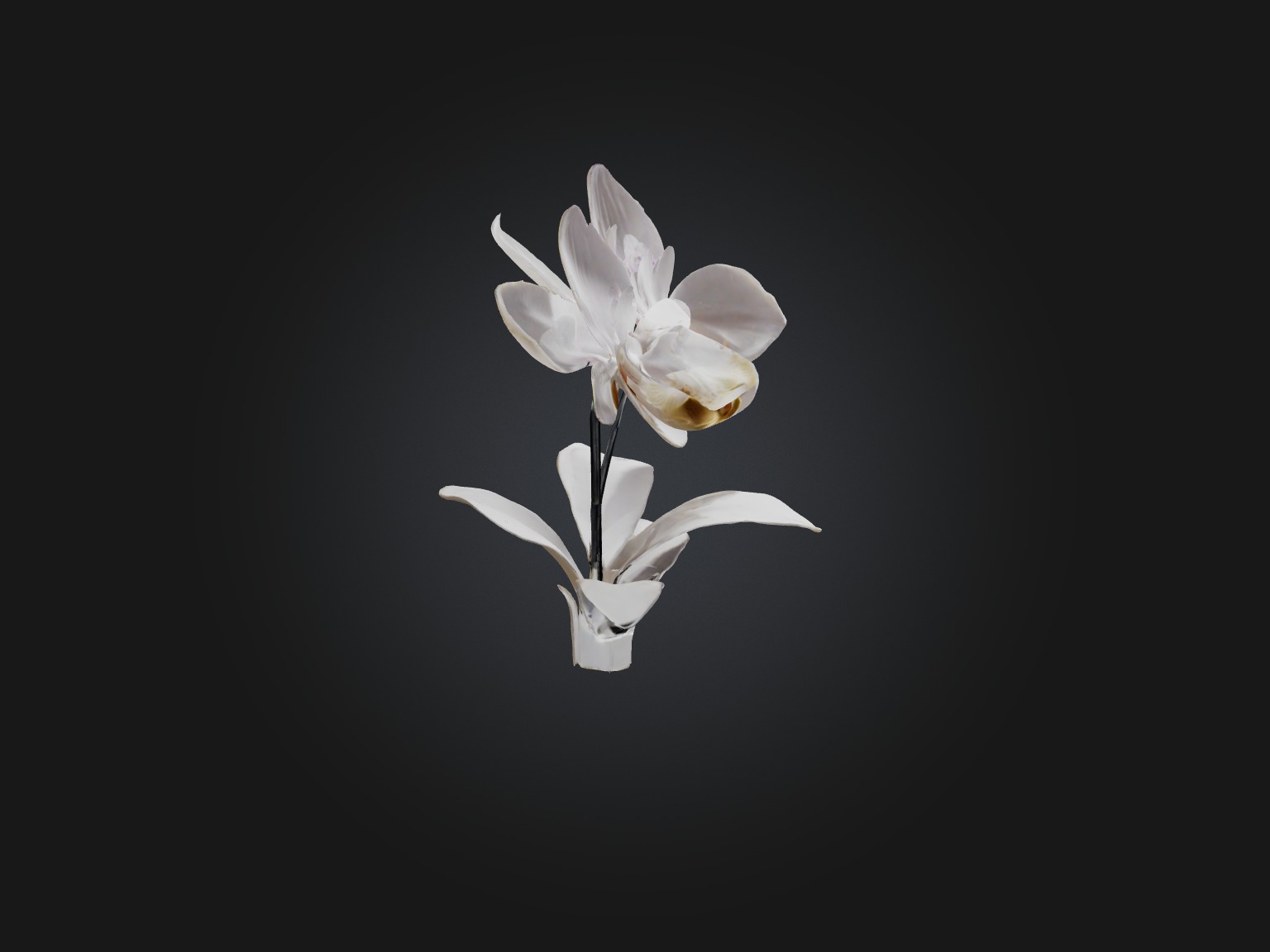 Orchid Model Low-poly 3D model_12