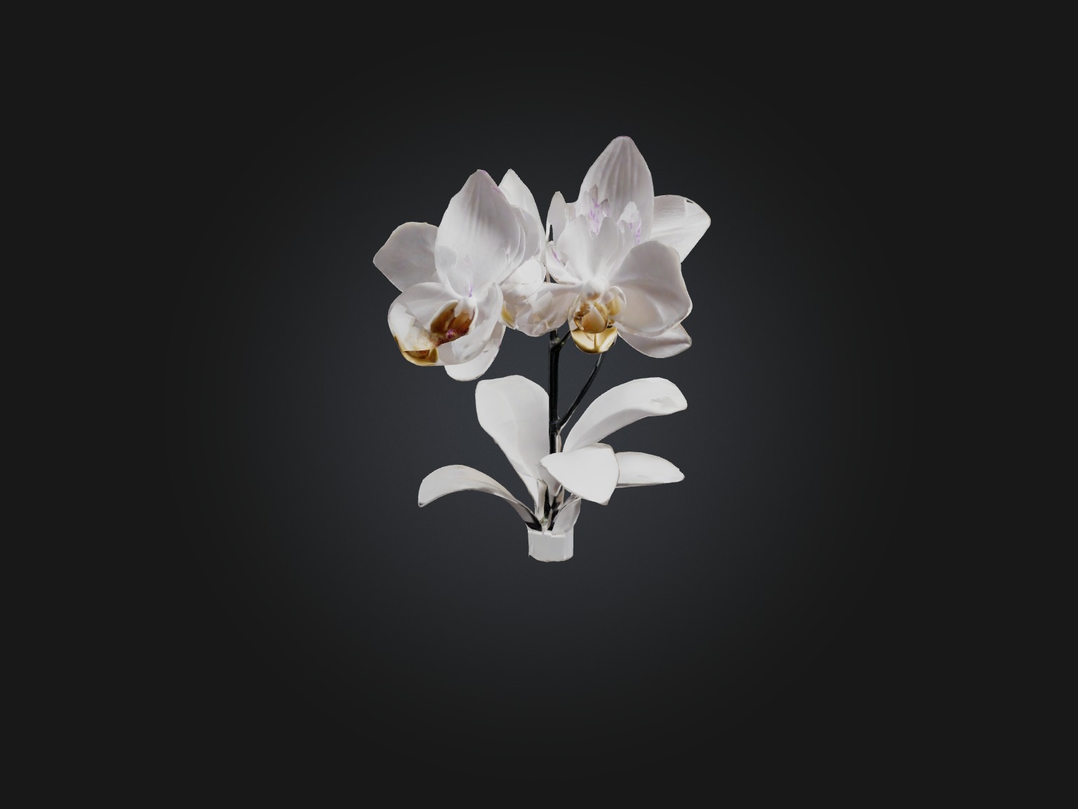 Orchid Model Low-poly 3D model_7