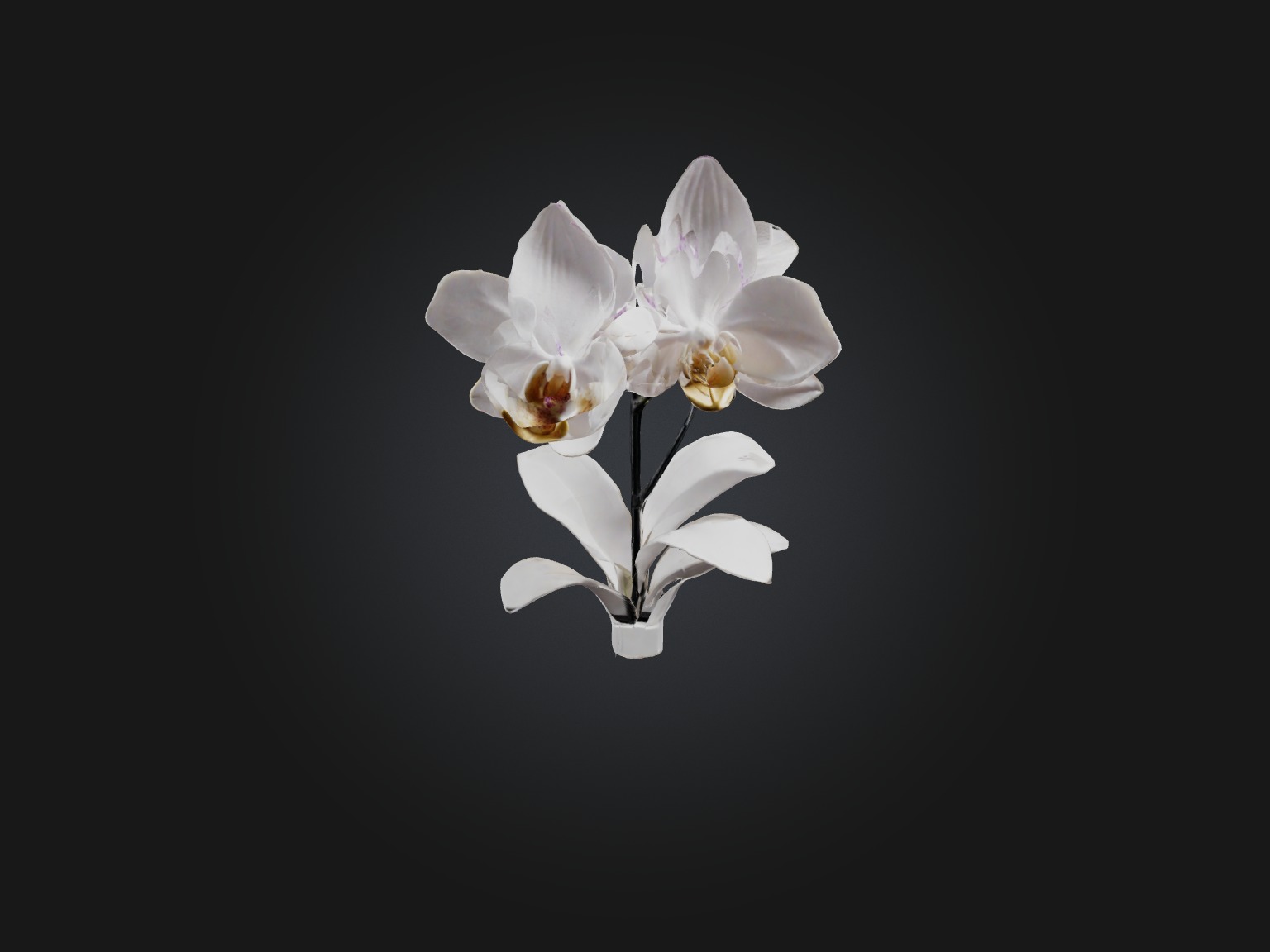 Orchid Model Low-poly 3D model_9