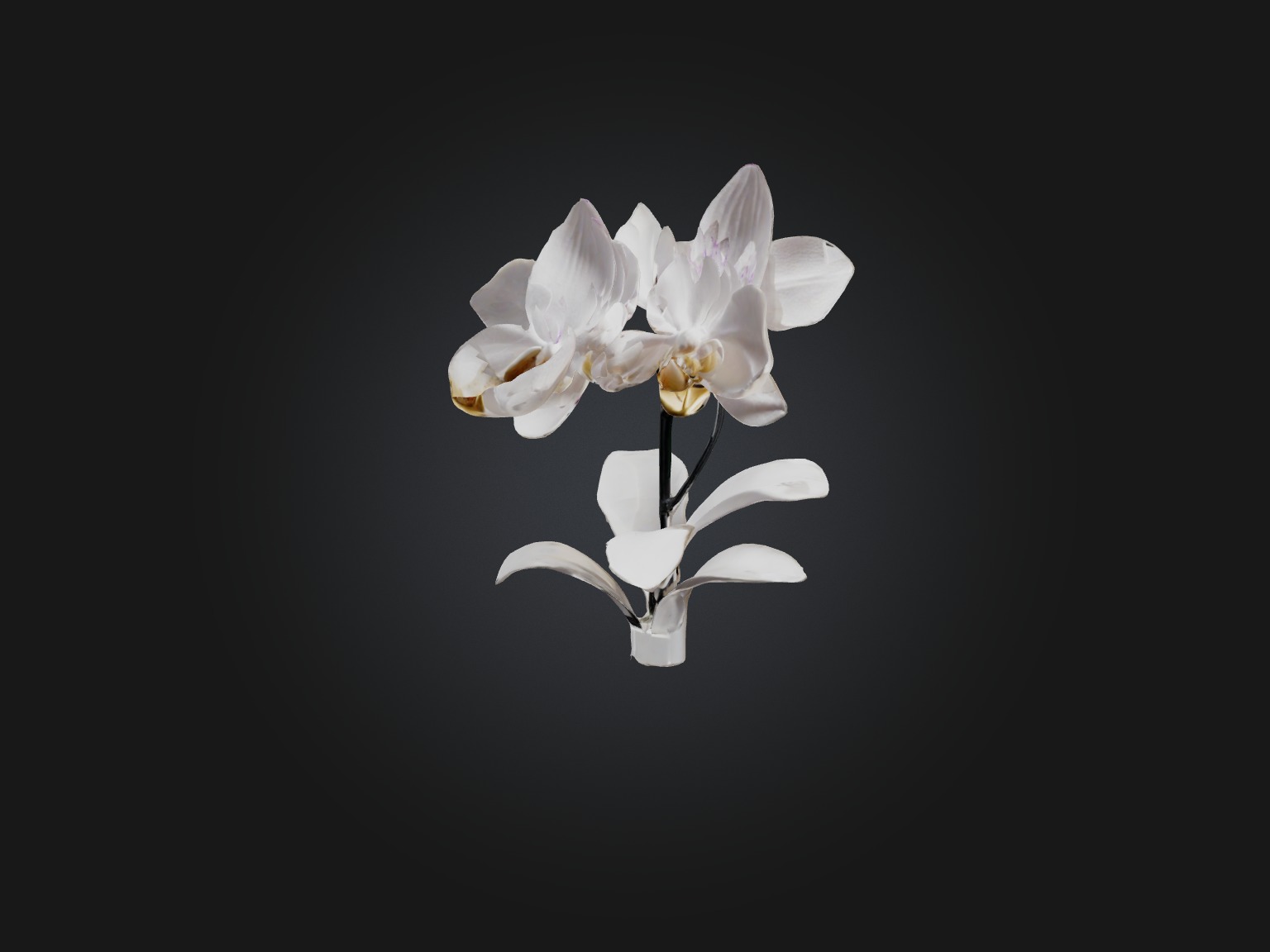 Orchid Model Low-poly 3D model_3
