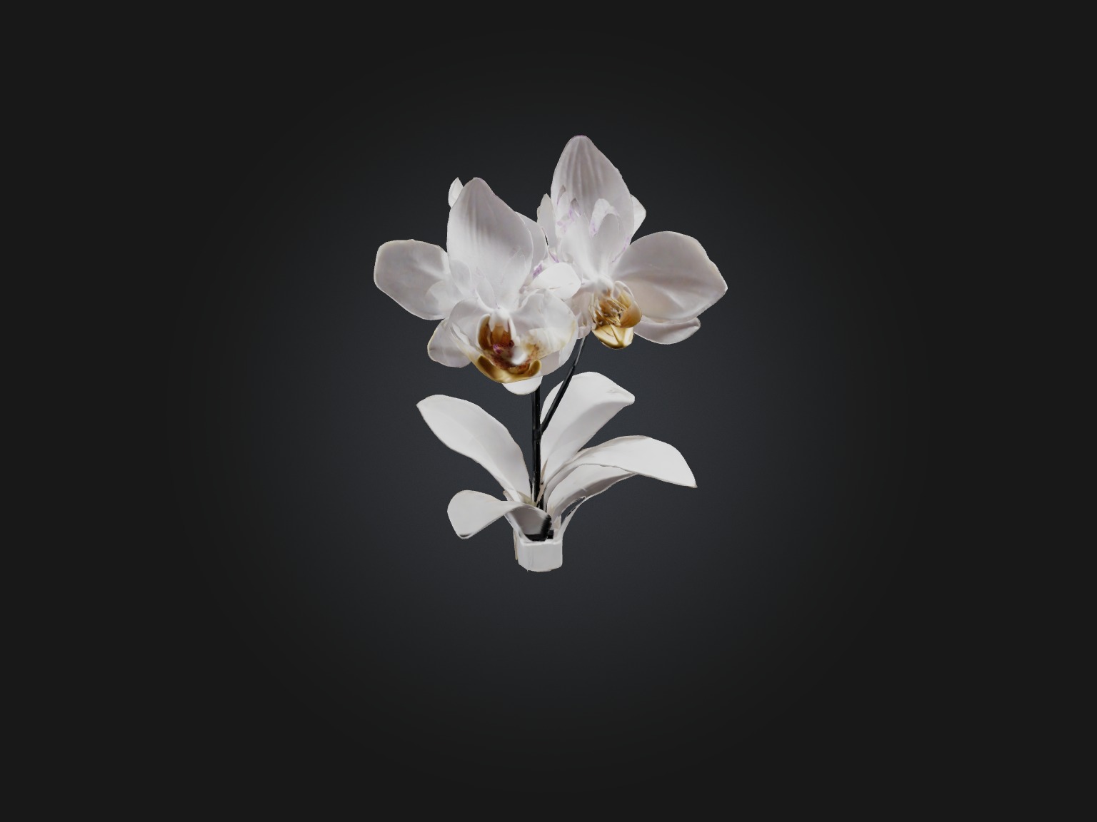 Orchid Model Low-poly 3D model_10