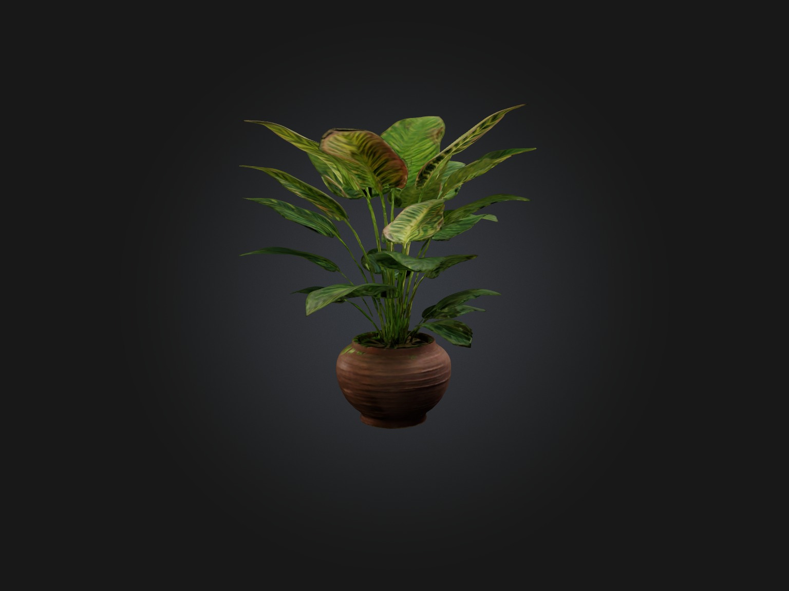 Maranta Prayer Plant Model Low-poly 3D model_6