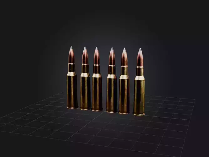 Magnum Rounds Low-poly 3D model