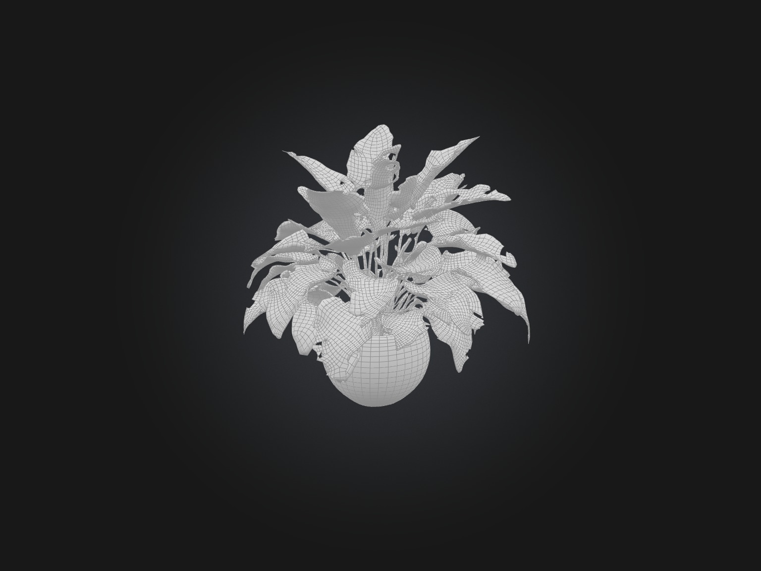 Golden Pothos Model Low-poly 3D model_8