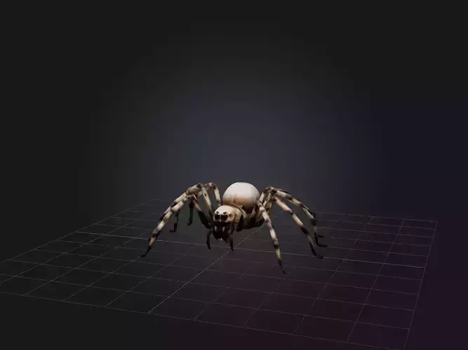 Giant Spider