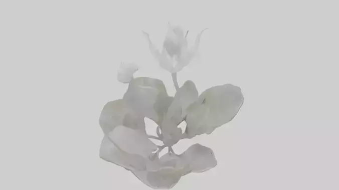 Ghost Plant Model