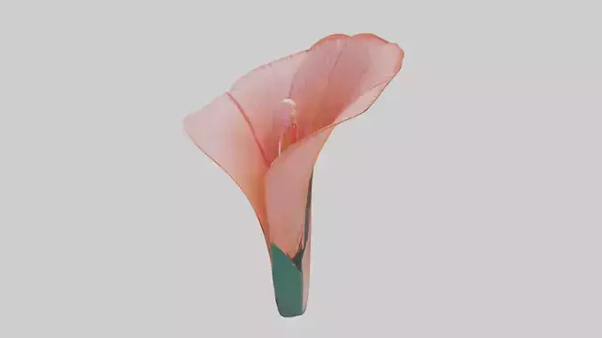 Flamingo Flower Model