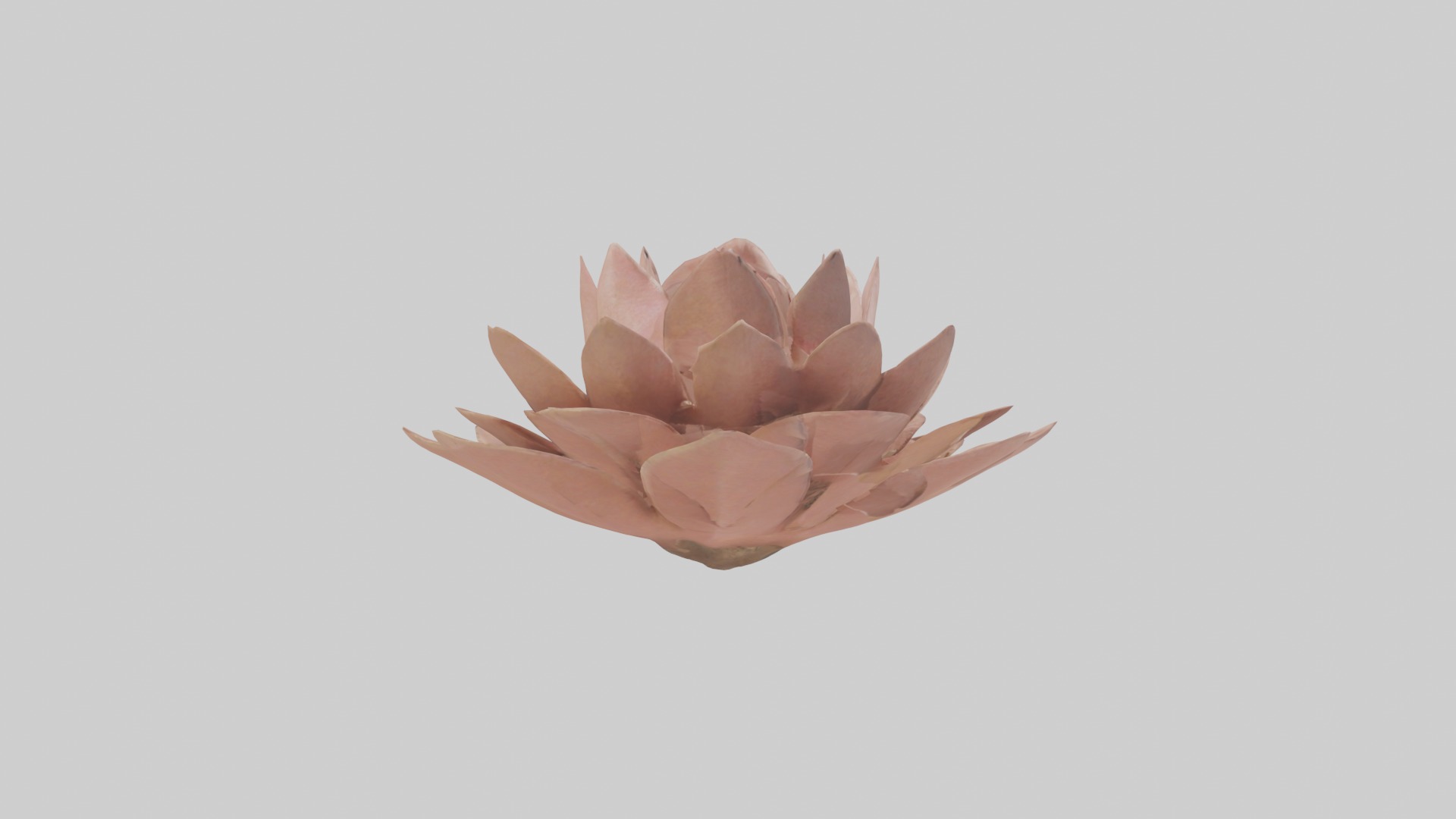 Desert Rose Model Low-poly 3D model_16