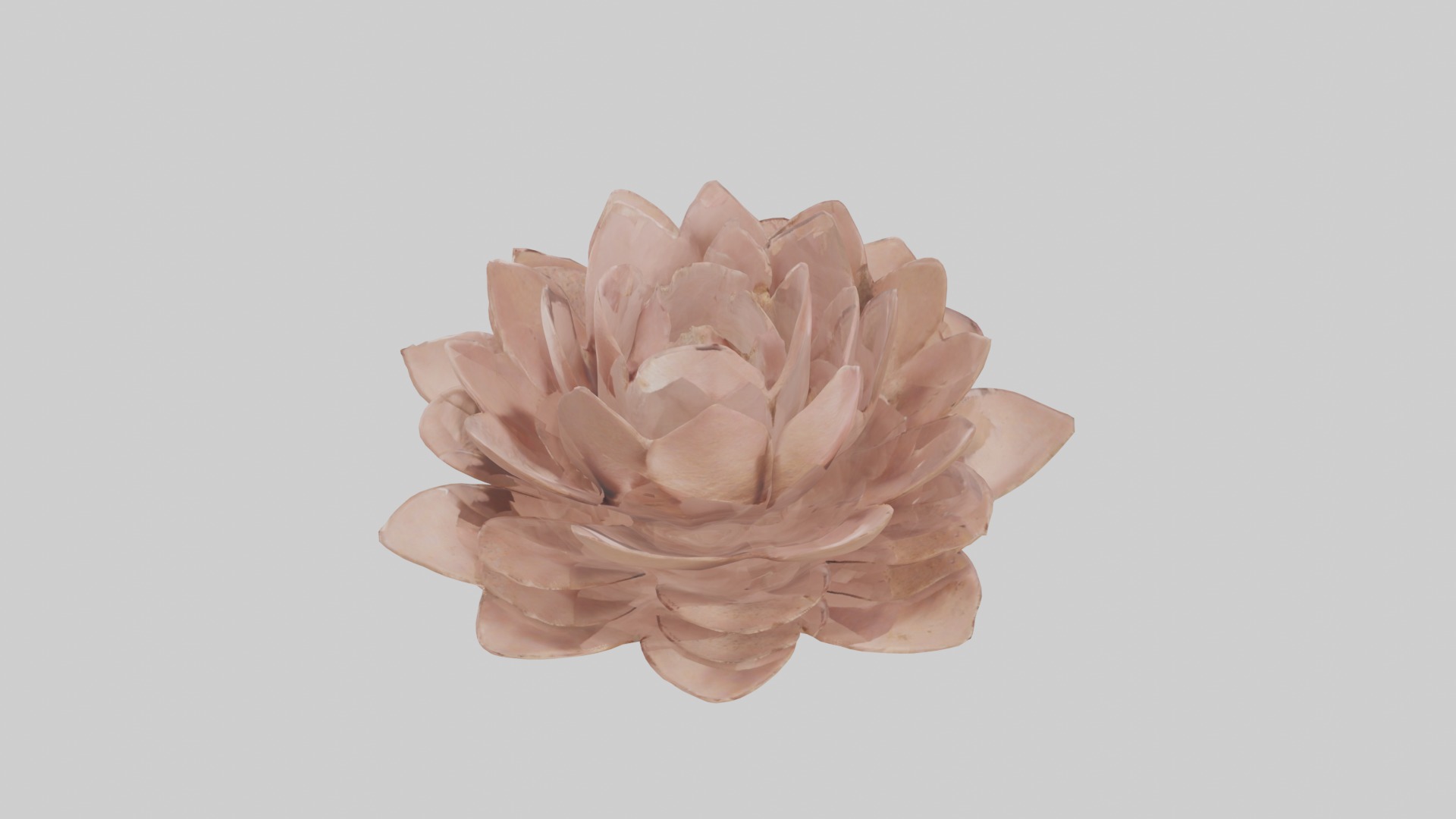 Desert Rose Model Low-poly 3D model_5