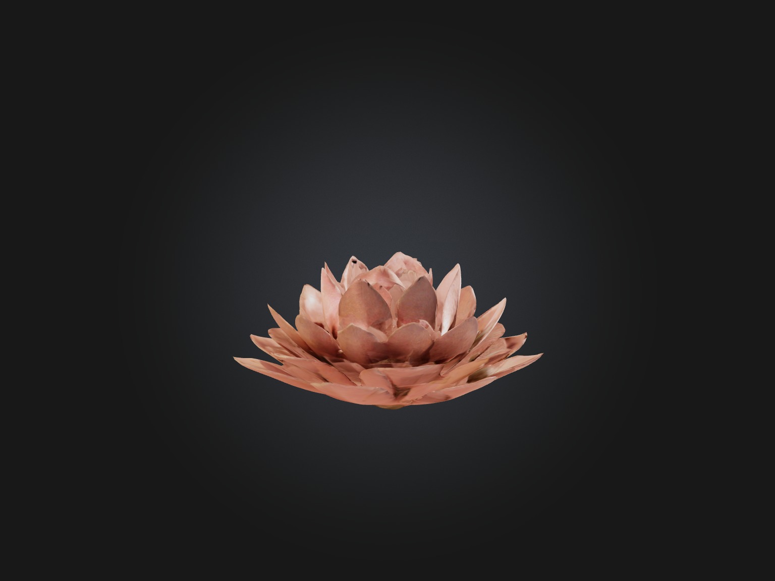 Desert Rose Model Low-poly 3D model_13