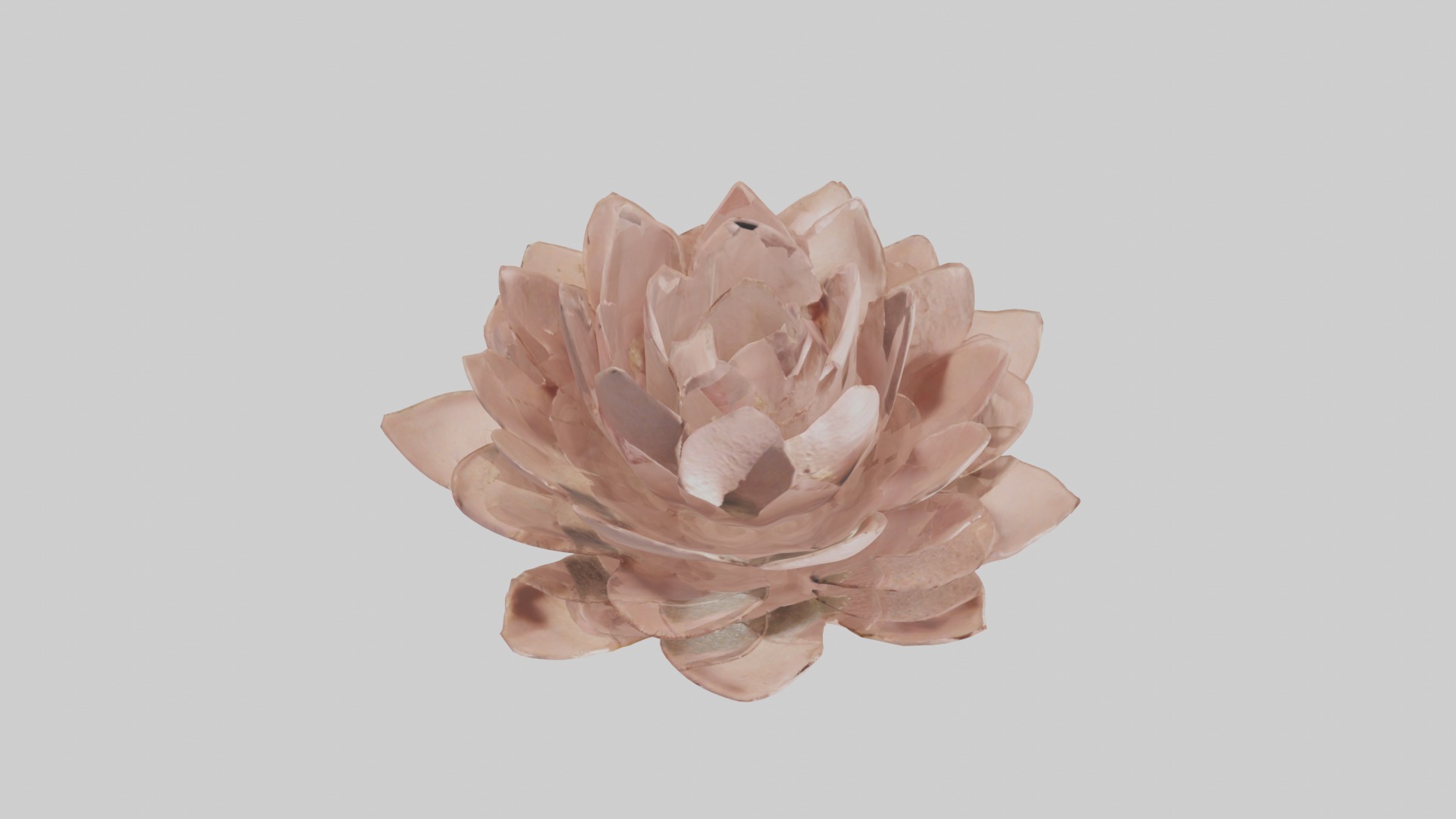 Desert Rose Model Low-poly 3D model_6