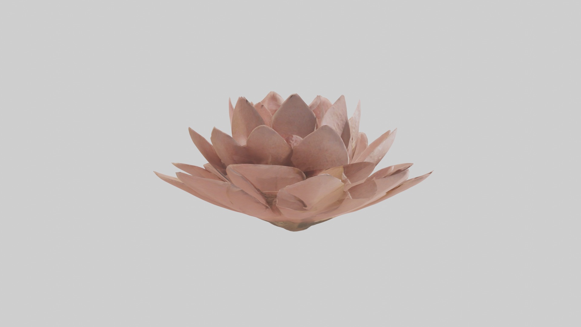Desert Rose Model Low-poly 3D model_18