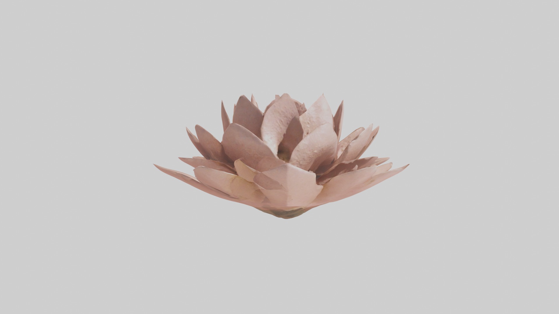 Desert Rose Model Low-poly 3D model_4