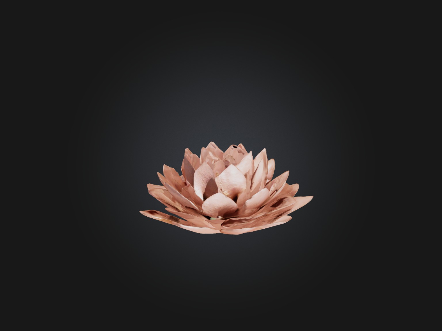 Desert Rose Model Low-poly 3D model_7