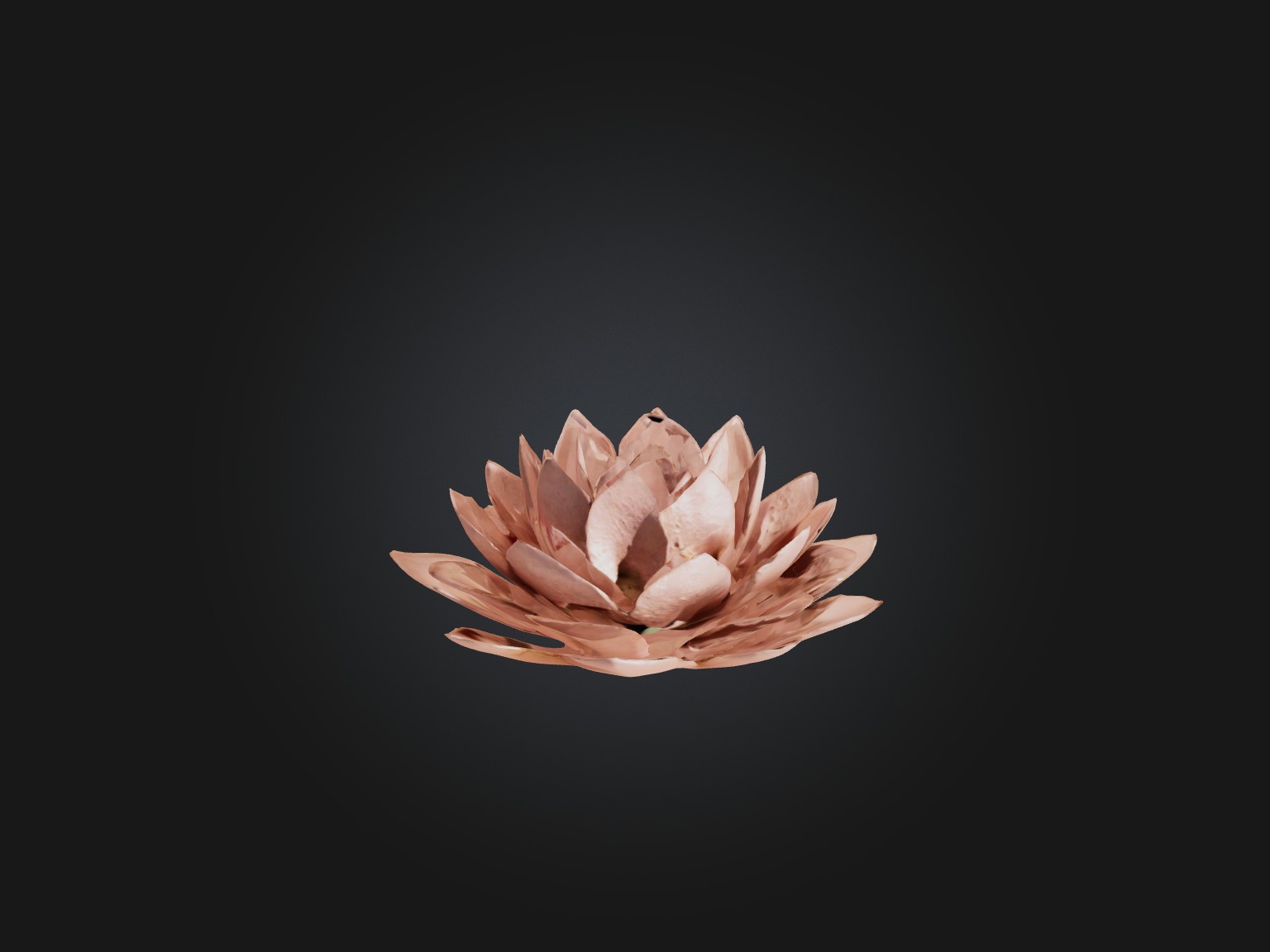 Desert Rose Model Low-poly 3D model_9