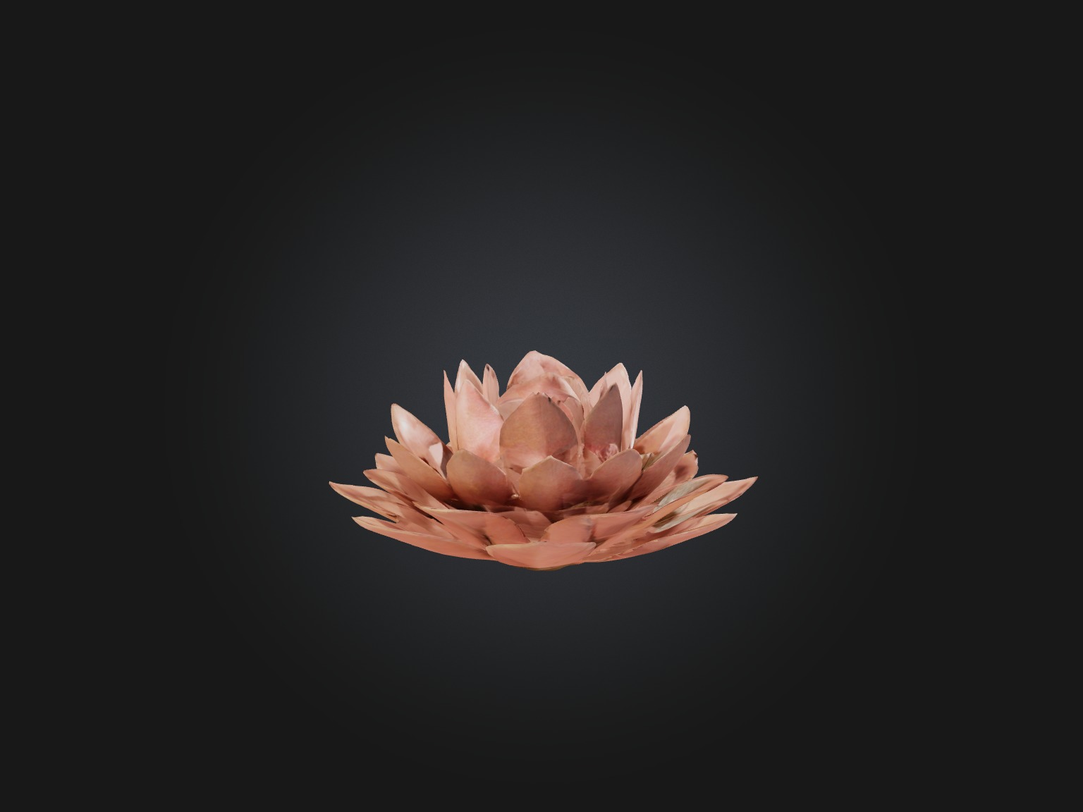 Desert Rose Model Low-poly 3D model_14