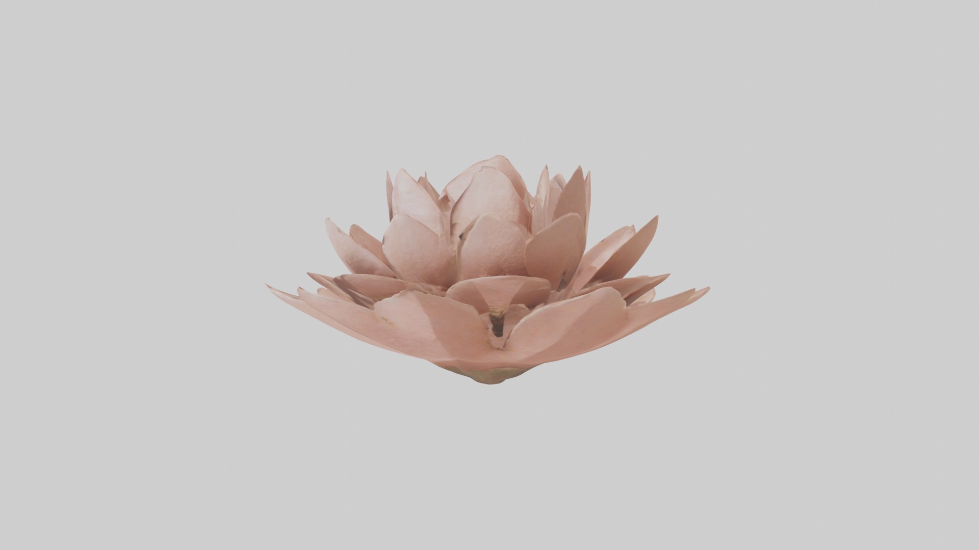 Desert Rose Model Low-poly 3D model_2